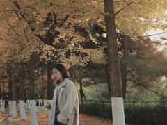 -长白岛森林公园