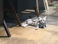 -咖法森林·咖啡  酒吧(天河店)