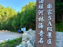 -汤旺河林海奇石景区