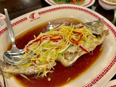 清蒸石斑鱼-中国城银都鱼翅酒楼