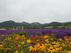 -西海岸生态观光园