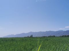 -敕勒川草原文化旅游区