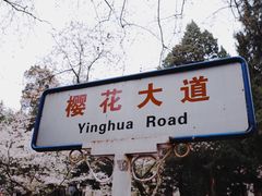 -武汉大学-樱园