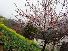 -石潭村