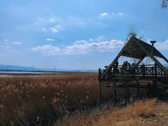 -野鸭湖国家湿地公园