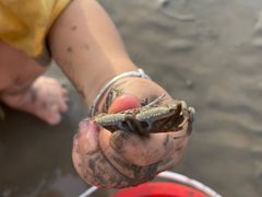 -奉贤海滩