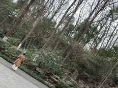 -杭州少年儿童公园