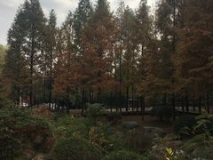 -宝界山林公园