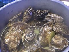 -千岛蚝高压锅生蚝·人参火锅(白云万达店)