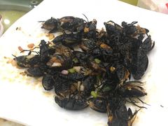 椒盐龙虱-鸿达渔港