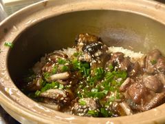 -红星光发煲仔饭(文海店)