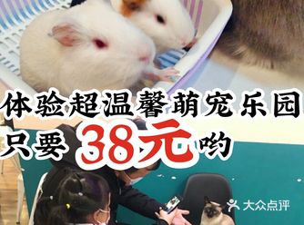体验超温馨萌宠乐园只要38元哟