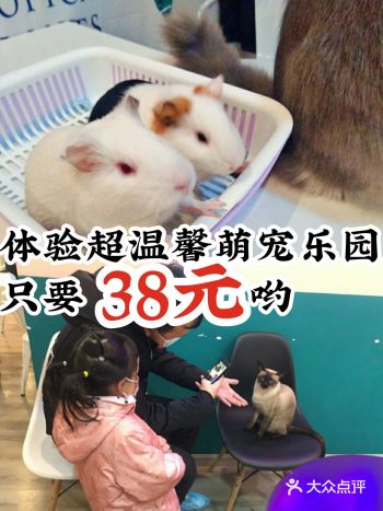体验超温馨萌宠乐园只要38元哟