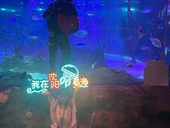 -沈阳海洋探索中心