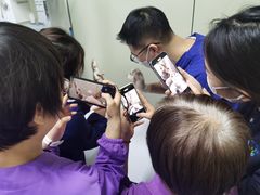 -北京观赏动物医院·24小时大型综合·猫专科·异宠专科