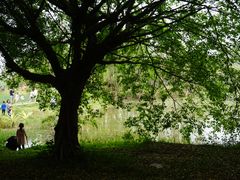 -华南国家植物园-售票处