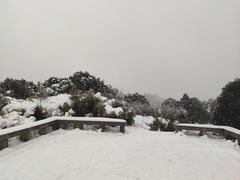 -武陵山森林公园