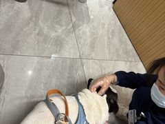 -北京派仕佳德动物医院·超导核磁·CT·神经科·骨科·内外科·急重症管理中心