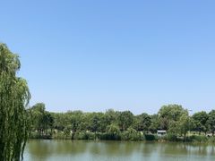 -稻香湖公园