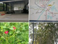-黄浦路(地铁站)