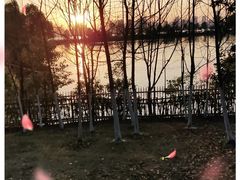 -艾溪湖湿地公园