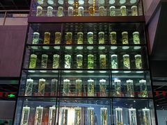 -广东中医药博物馆