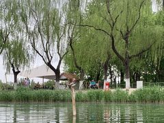 -WhaleSports户外水上运动俱乐部(朝阳公园店)