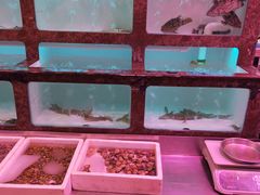 -长平肥姐白粥·海鲜打冷