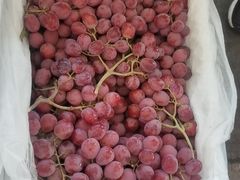 -西郊国际农产品交易中心