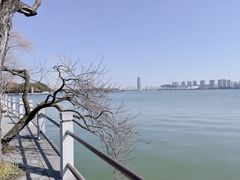 -无锡蠡湖国家湿地公园-蠡园