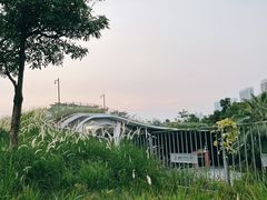 -福田红树林生态公园