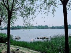 -马家湾湿地公园