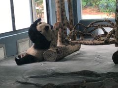 -火烈鸟餐厅