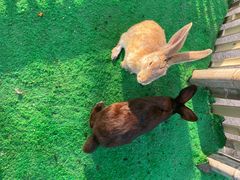 -泉州海丝野生动物世界