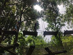-WeLope紫金山探险公园