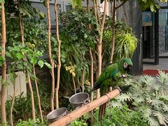 -南宫五洲植物乐园