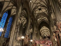 -斯蒂芬主教座堂(Stephansdom)