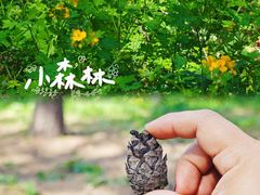 -欧亚之窗公园