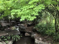 -龙头寺公园