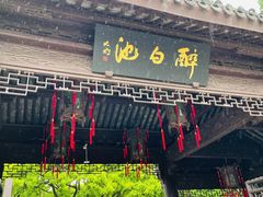 -上海醉白池公园