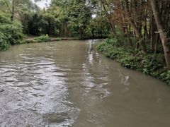 -桤木河湿地公园