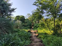 -白沙门生态公园
