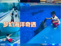 -福州罗源湾海洋世界旅游区