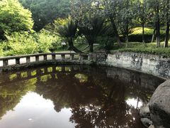 -南山植物园