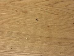 -肯德基(杭州浦沿店)