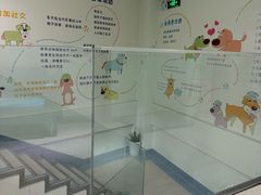 -瑞派申生动物医院·24H夜诊·国际动物医疗中心·骨外科(吴中路店)