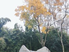 -楚望台遗址公园