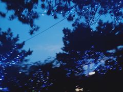 -四海蒸鲜蒸汽海鲜自助(北戴河店)