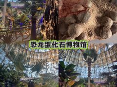 -中国西峡恐龙遗迹园