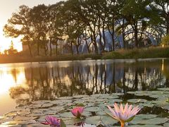 -上海植物园-4号门售票处